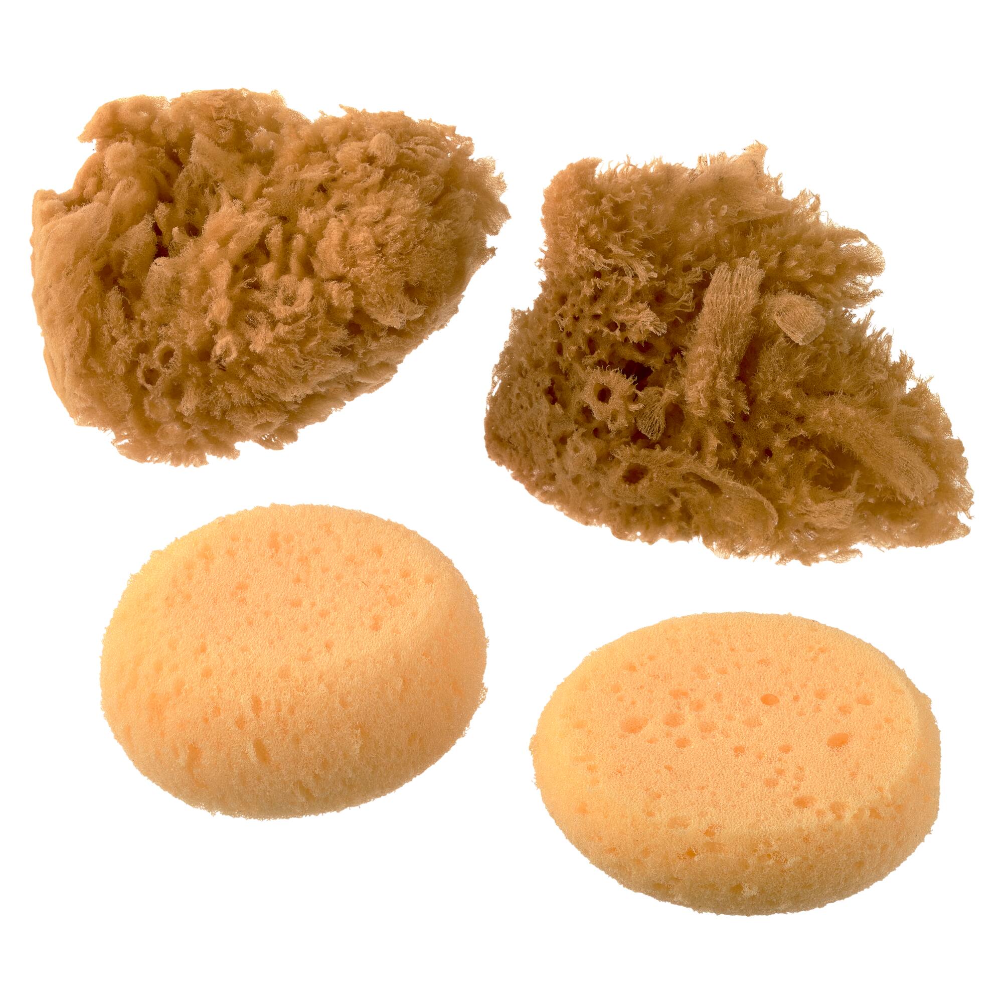 12 Packs: 4 ct. (48 total) Royal & Langnickel® Natural & Synth Sponge Pack